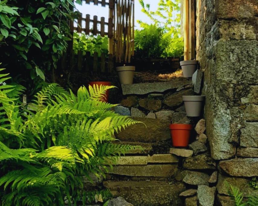 Maison En Pierre Au Milieu Du Bocage Coulouvray-Boisbenâtre Dış mekan fotoğraf