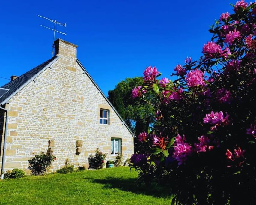 Maison En Pierre Au Milieu Du Bocage Coulouvray-Boisbenâtre Dış mekan fotoğraf